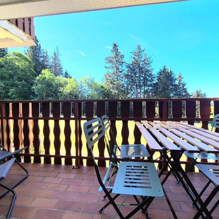 Charmant studio skis aux pieds Le Revard - Appartement - 1
