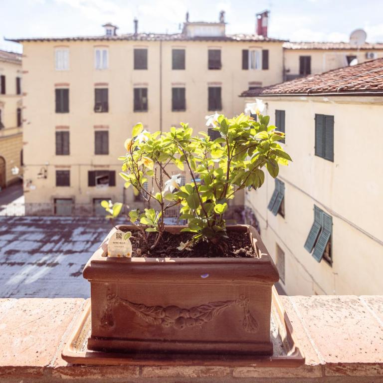 Divina Terrazza in Center Town - Appartamento con Terrazza - 4