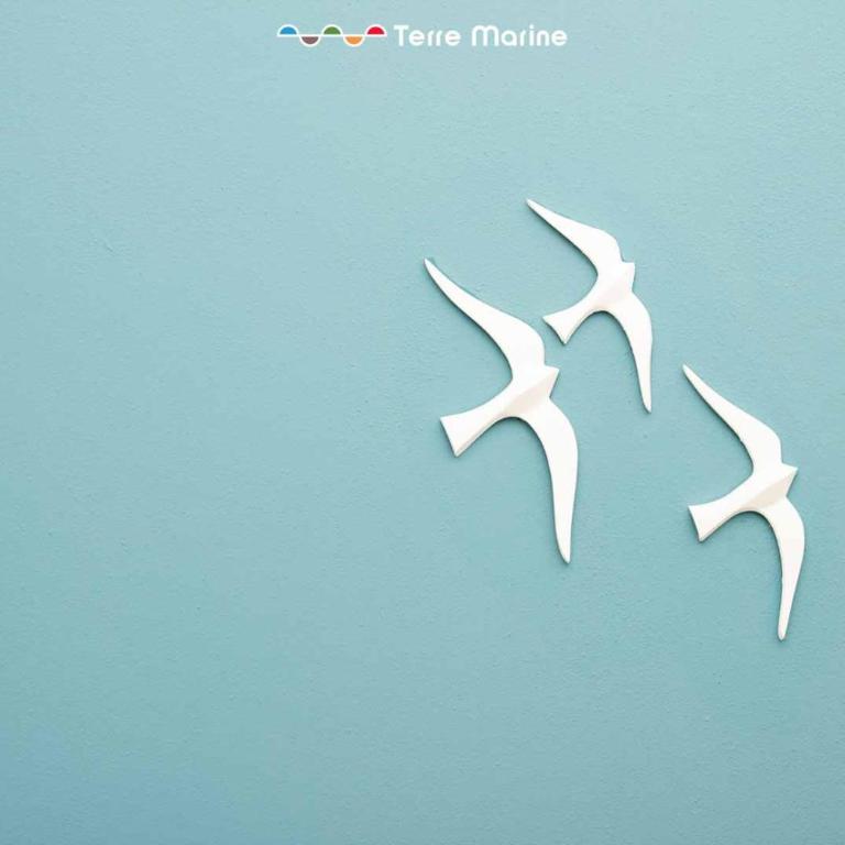 Albatros & Nautilus, Terre Marine - Appartamento con 1 Camera da Letto - 5
