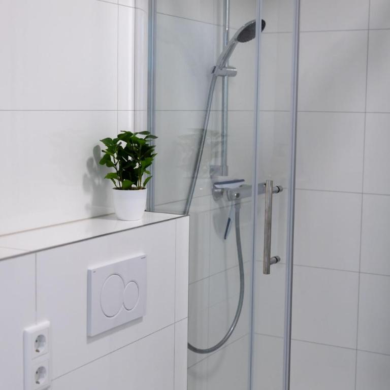 Apartment in der Altstadt - Studio-Apartment - 12