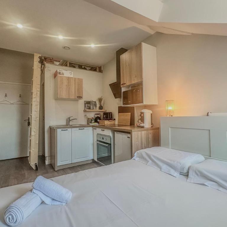 L'Amiral - Gare de Grenoble - Two-Bedroom Apartment - 10