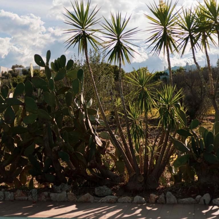Trullo Fioccarelli - Casa con 2 Camere da Letto - 50