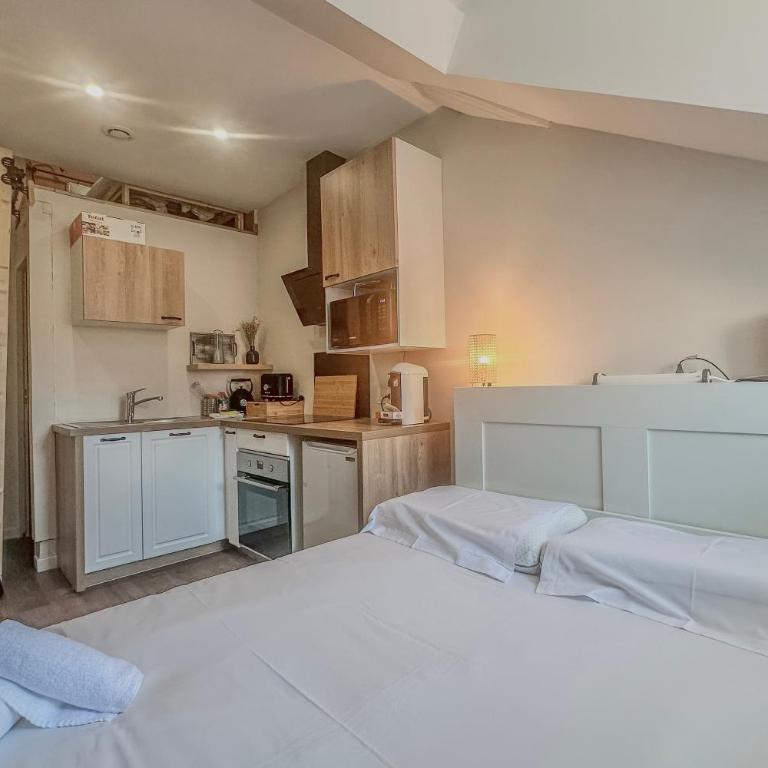 L'Amiral - Gare de Grenoble - Two-Bedroom Apartment - 27
