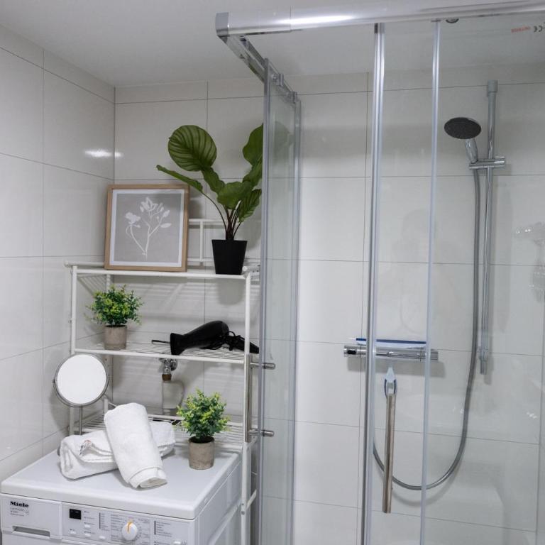 Apartment in der Altstadt - Maisonette - 7