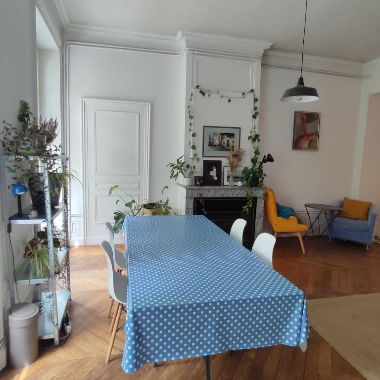 Grand appartement cosy, au coeur de Lyon - Apartment mit 2 Schlafzimmern - 2