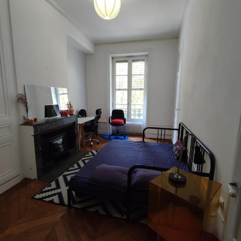 Grand appartement cosy, au coeur de Lyon - Apartment mit 2 Schlafzimmern - 14
