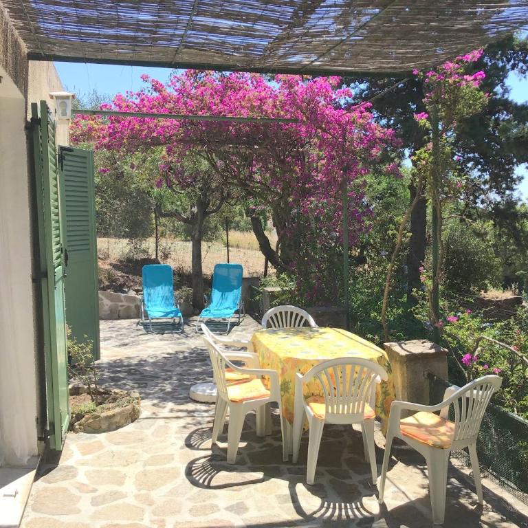 Domaine Anoutous, Perry - Maison 2 Chambres - 1