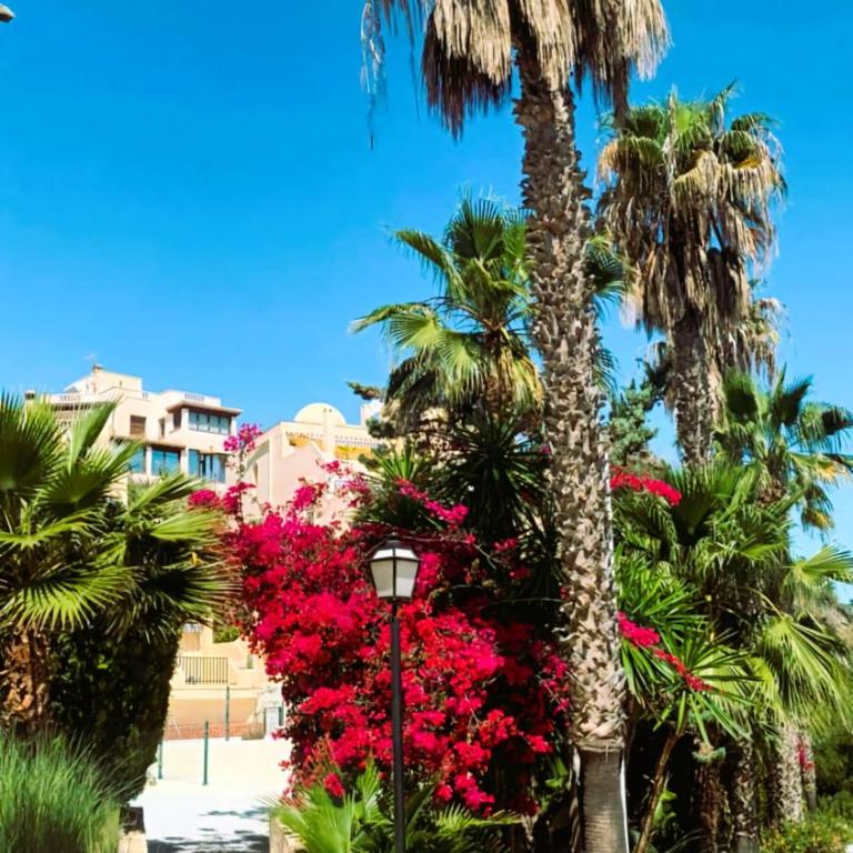 Casa de la Luz del Sol - Apartamento de 2 dormitorios con balcón y vistas al mar - 25