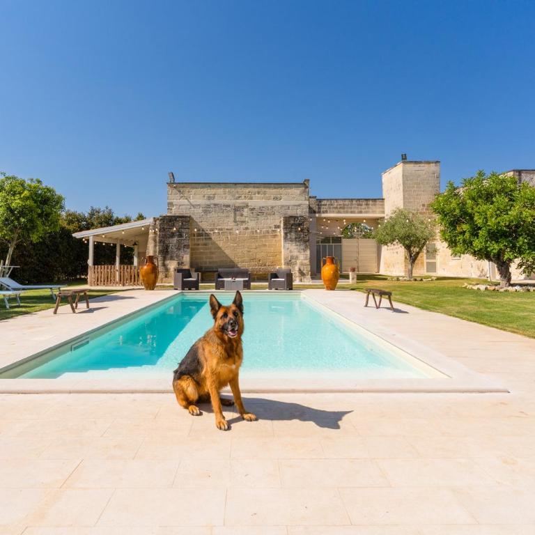Villa Queen by Perle di Puglia - Villa con 2 Camere da Letto - 45