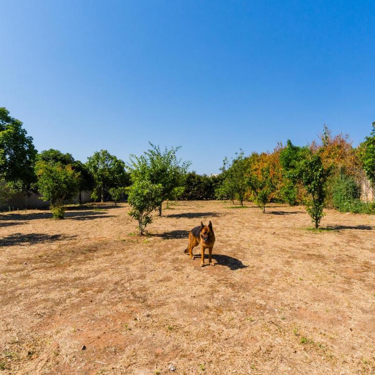 Villa Queen by Perle di Puglia - Villa con 2 Camere da Letto - 38