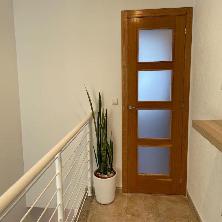 Bungalow Saul with ocean views - Villa de 1 dormitorio - 34