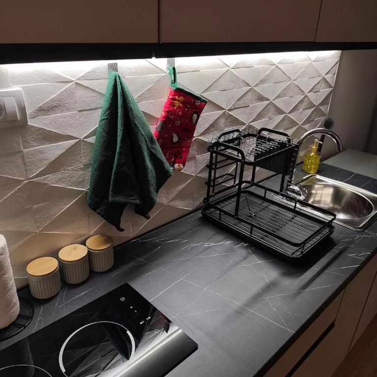 Crystal Air Kopaonik - Apartman sa 1 Spavaćom Sobom - 18