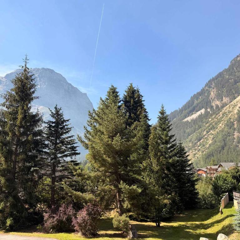 Studio sud 4 pers, animaux admis, terrasse ensoleillée - FR-1-464-50 - Studio - 13