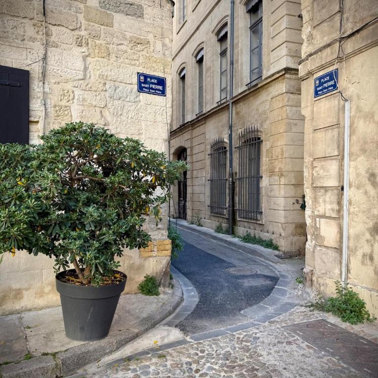 Cocon de charme rénové au pied du Palais des Papes - Apartment mit 1 Schlafzimmer - 4