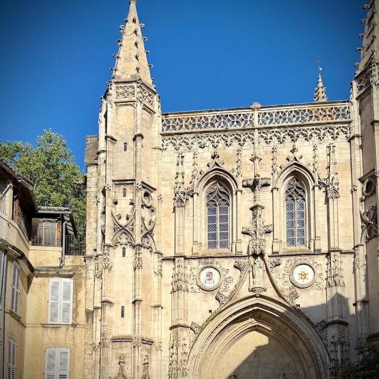 Cocon de charme rénové au pied du Palais des Papes - Apartment mit 1 Schlafzimmer - 9