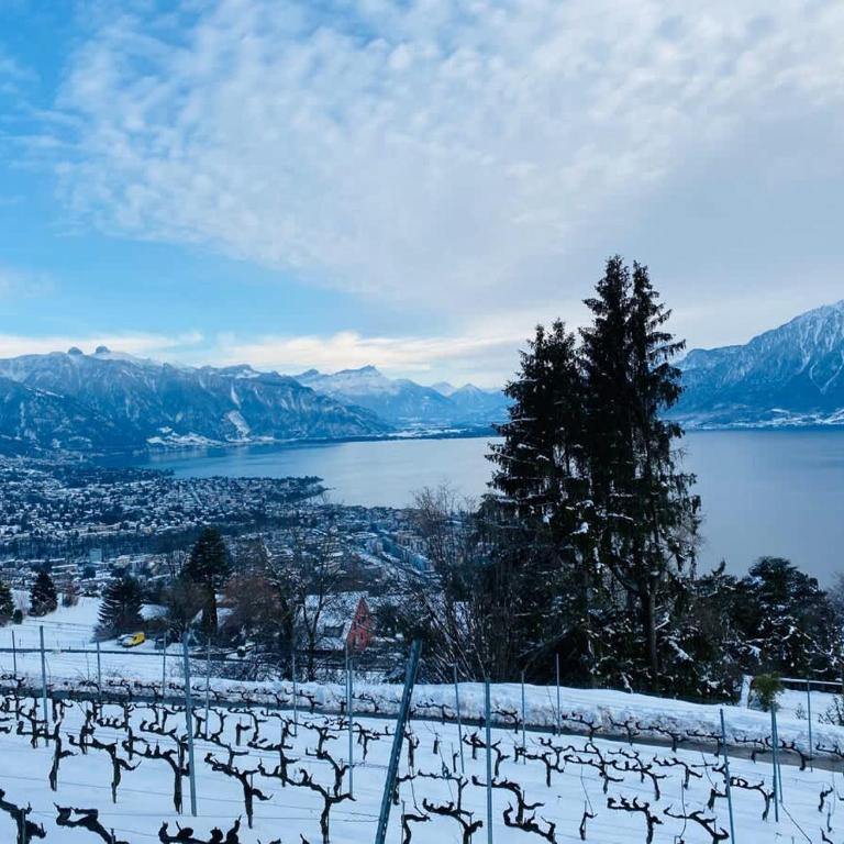 Le Chardonne - Designer's home with a stunning lake and mountain view - Apartment - 4