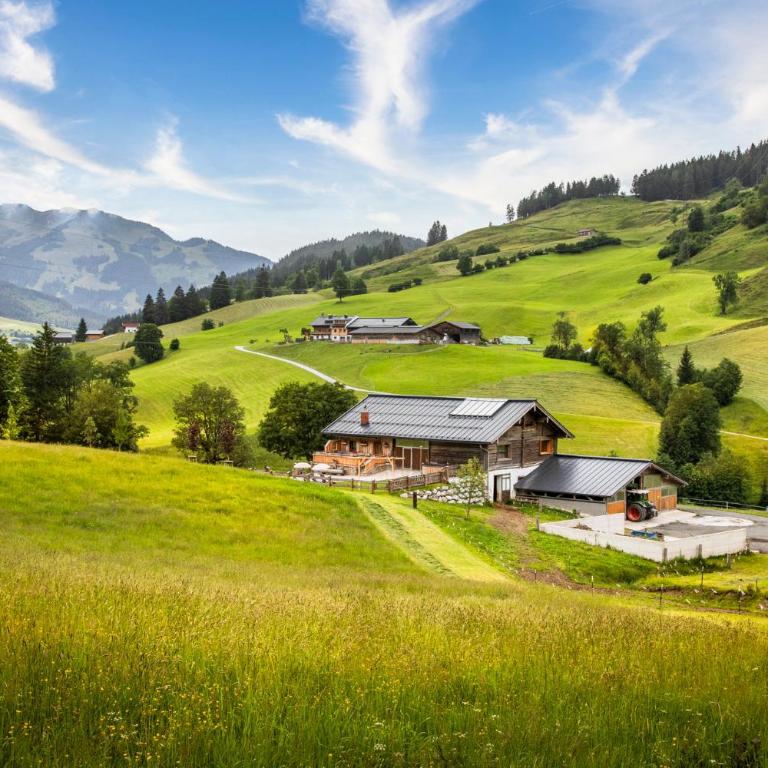 Entachalm - Vacation Home - 20