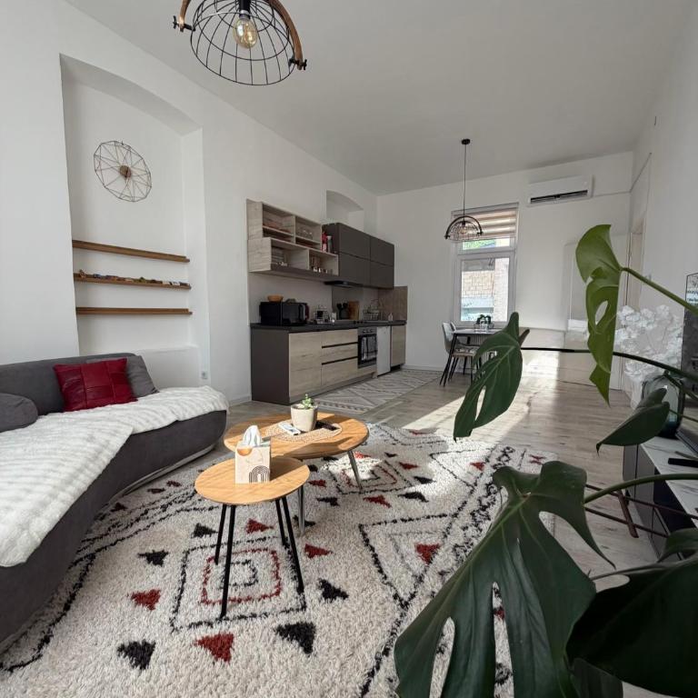 Old Town Sarajevo Apartment - Apartman sa 2 Spavaće Sobe - 2