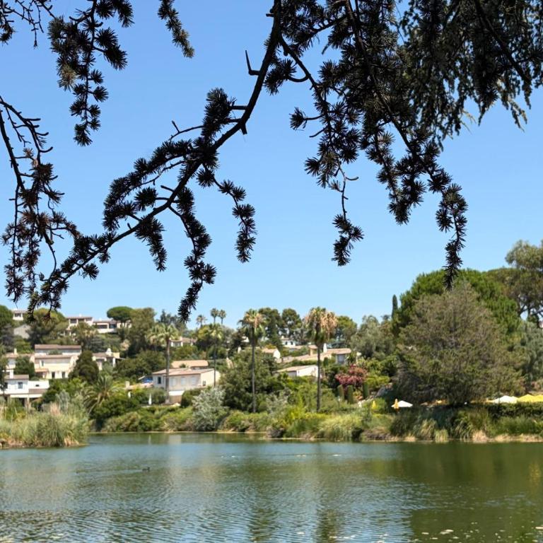 Peaceful Riviera flat with pool tennis and terrace - Appartement 2 Chambres - 16