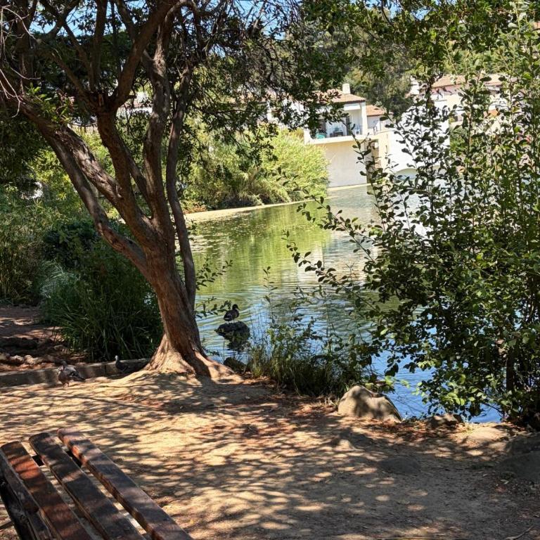 Peaceful Riviera flat with pool tennis and terrace - Appartement 2 Chambres - 17