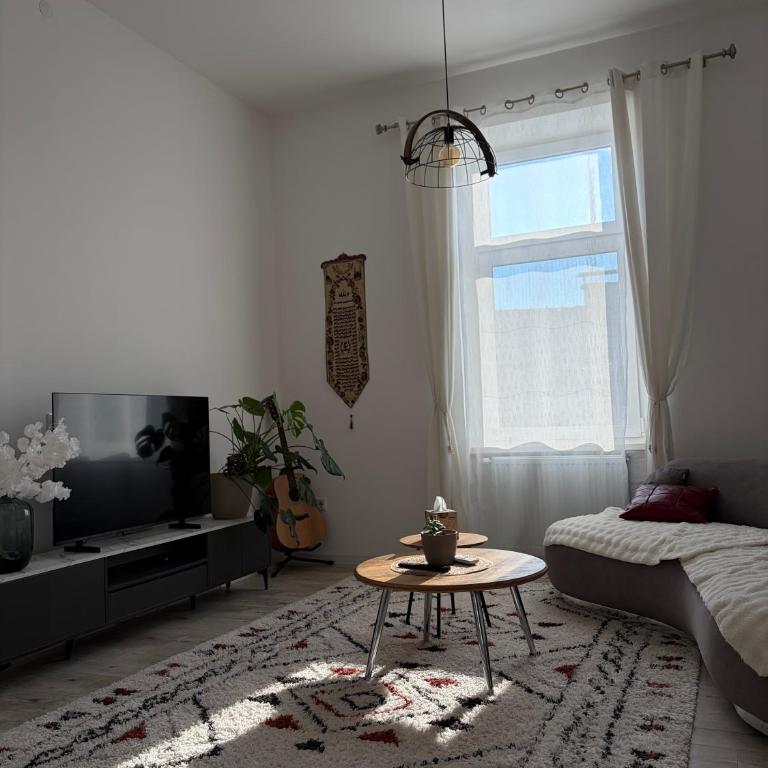Old Town Sarajevo Apartment - Apartman sa 2 Spavaće Sobe - 13