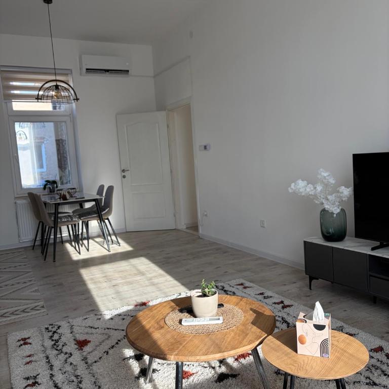 Old Town Sarajevo Apartment - Apartman sa 2 Spavaće Sobe - 7