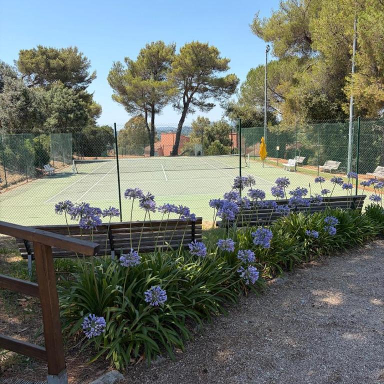 Peaceful Riviera flat with pool tennis and terrace - Appartement 2 Chambres - 26
