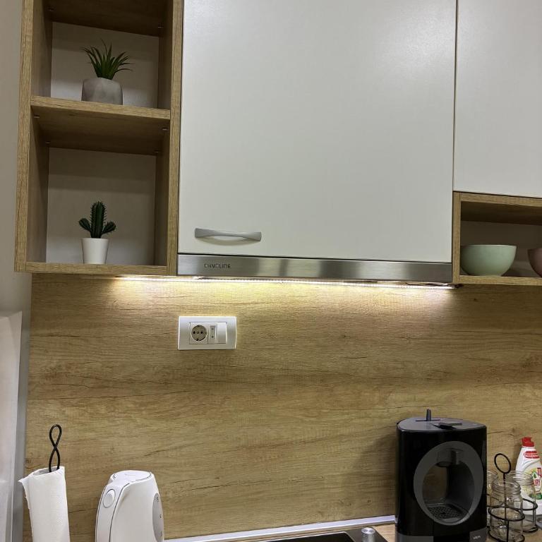 Studio Tatjana - Apartman sa 1 Spavaćom Sobom - 5
