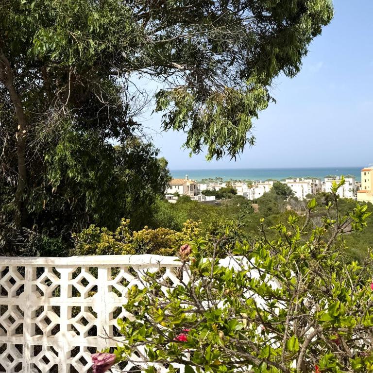 Casa Minerva del Mar - Quiet Sea View Home La Mata Torrevieja - Bungalow 3 Chambres - 25