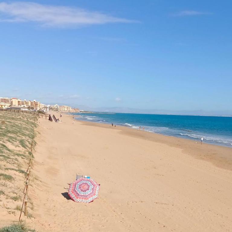 Lago Jardin Costa Blanca - Apartamento de 1 dormitorio - 14