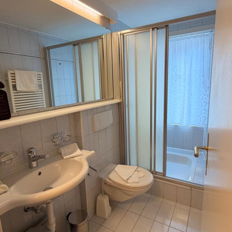 Hotel Heilquelle-Leukerbad-Therme - Einzelzimmer - 4