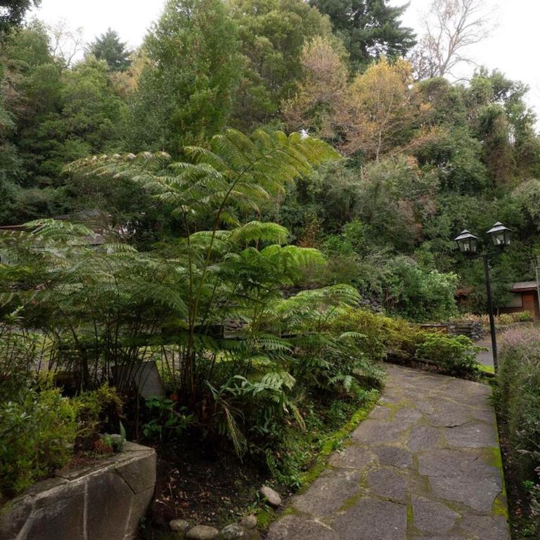 Lake Pucon View Beautiful apartment - Apartamento - 31