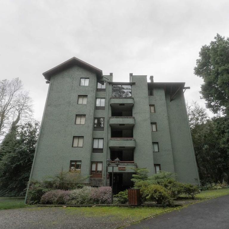 Lake Pucon View Beautiful apartment - Apartamento - 2