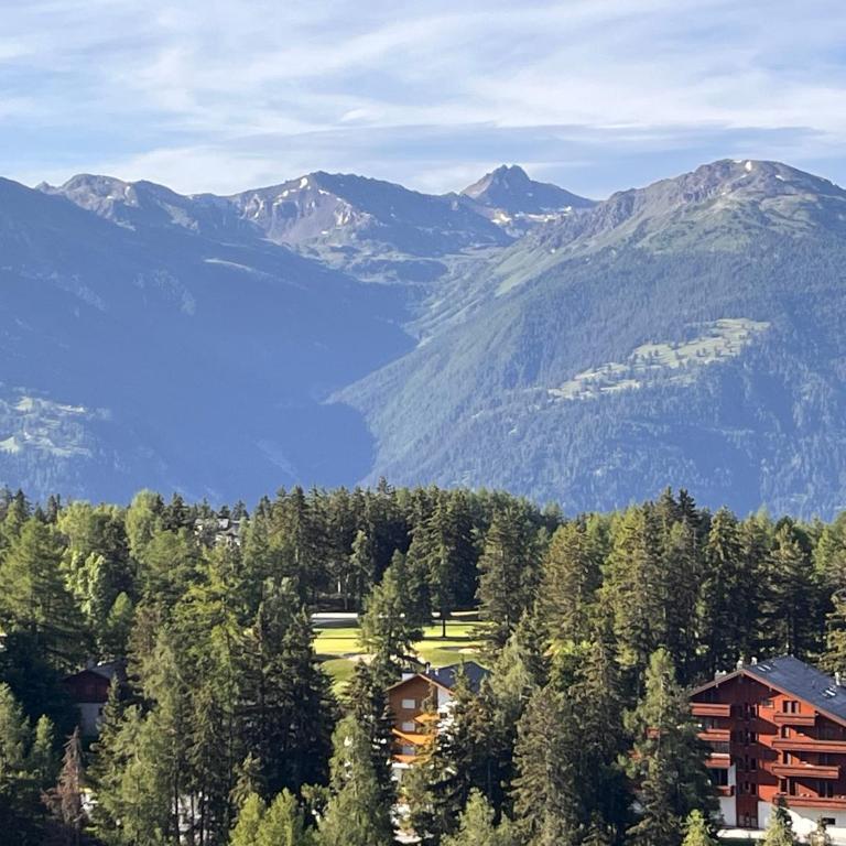 Crans mountain view - One-Bedroom Apartment - 59