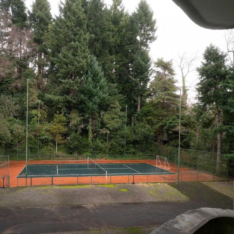 Lake Pucon View Beautiful apartment - Apartamento - 13