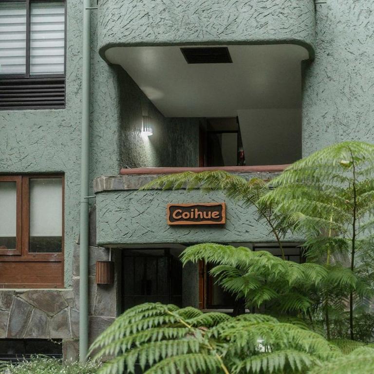 Lake Pucon View Beautiful apartment - Apartamento - 25