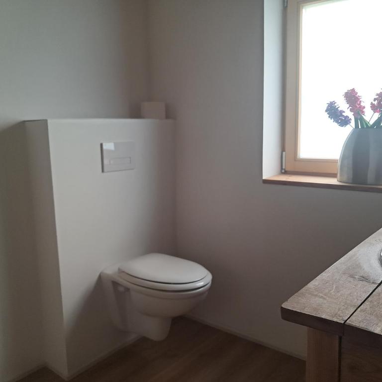 Haus A - Apartment mit Terrasse - 4