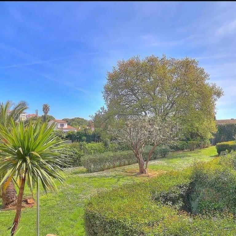 Apartment 800 m from the sea Near Cannes - Appartamento con 1 Camera da Letto - 7