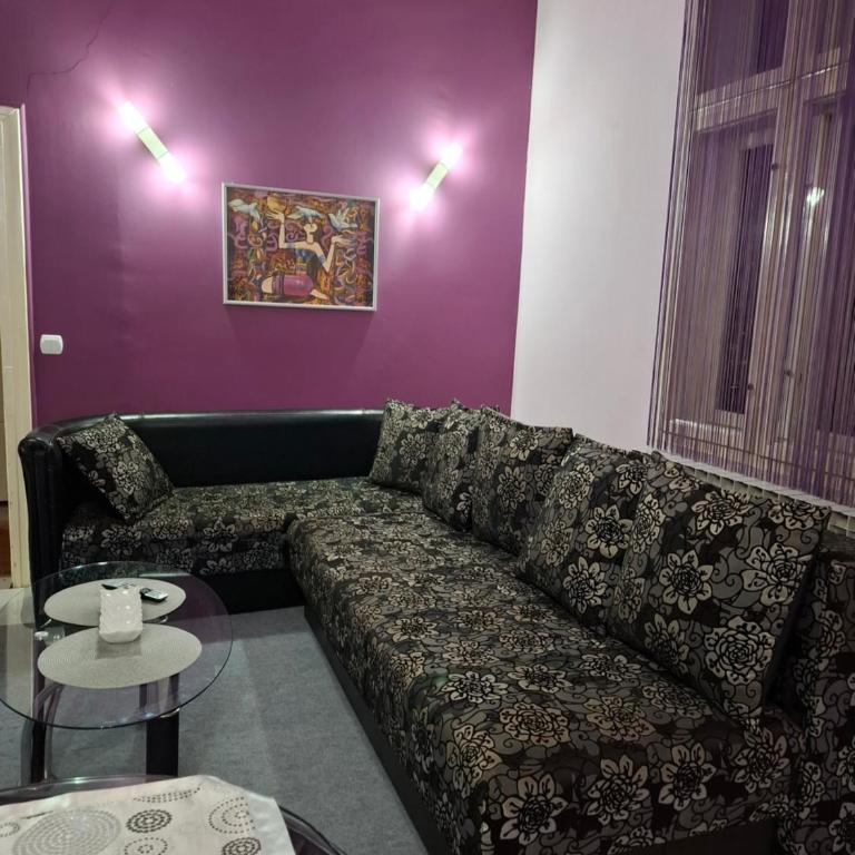 Apartmani Pelivan - Apartman sa 1 Spavaćom Sobom - 13