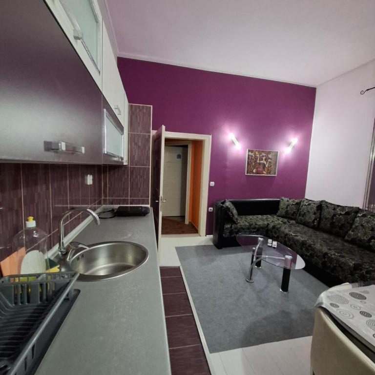 Apartmani Pelivan - Apartman sa 1 Spavaćom Sobom - 7