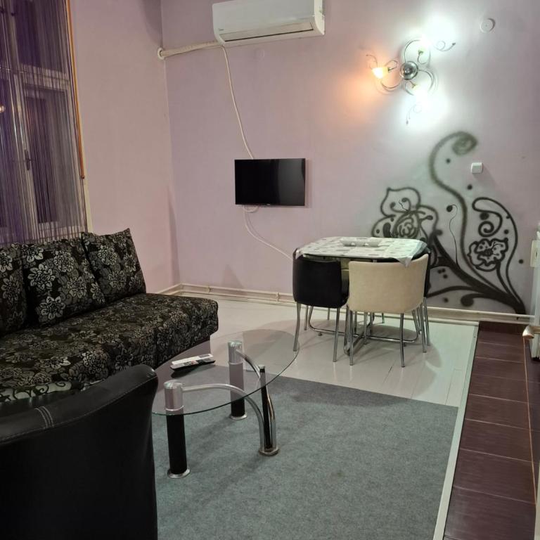 Apartmani Pelivan - Apartman sa 1 Spavaćom Sobom - 12