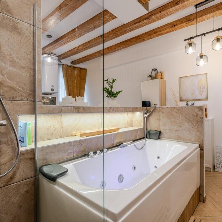 Studio spa charme alsacien Hypercentre cathédrale - Appartement 1 Chambre - 1