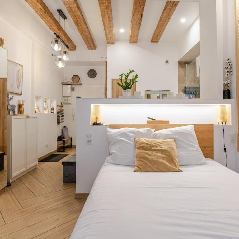 Studio spa charme alsacien Hypercentre cathédrale - Appartement 1 Chambre - 13