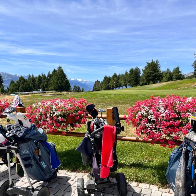 Crans mountain view - One-Bedroom Apartment - 79