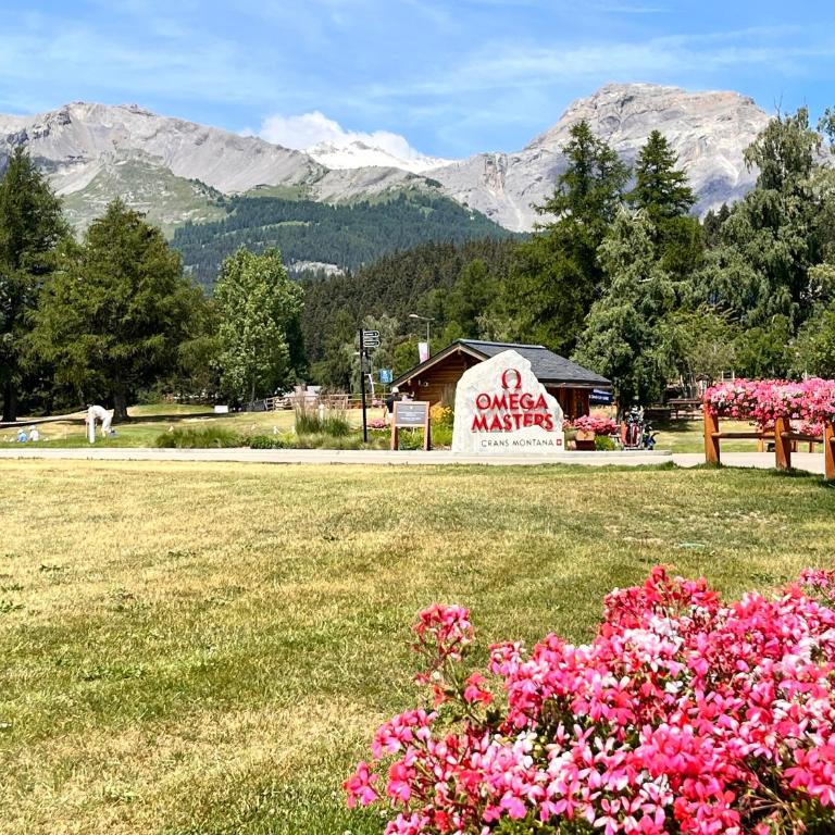 Crans mountain view - One-Bedroom Apartment - 78