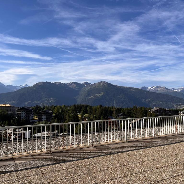 Crans mountain view - One-Bedroom Apartment - 22