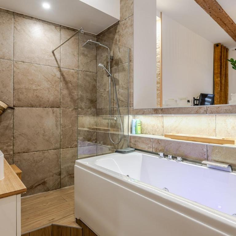 Studio spa charme alsacien Hypercentre cathédrale - Appartement 1 Chambre - 25