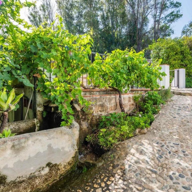 Molino Maroto Alhaurín el Grande by Ruralidays - Casa de 3 dormitorios - 33