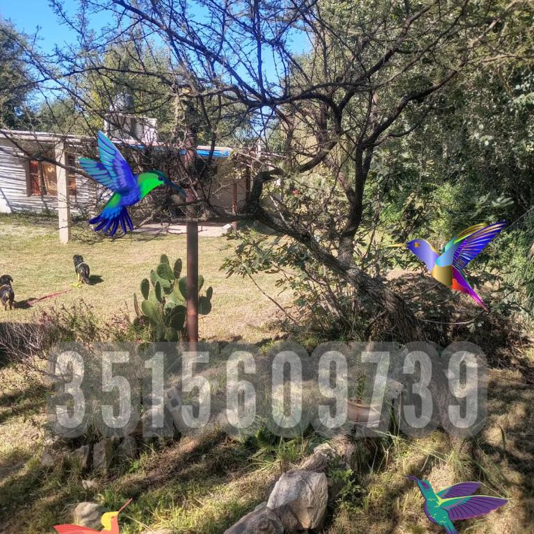 Los Colibríes de Potrero - Chalet de 2 dormitorios - 16