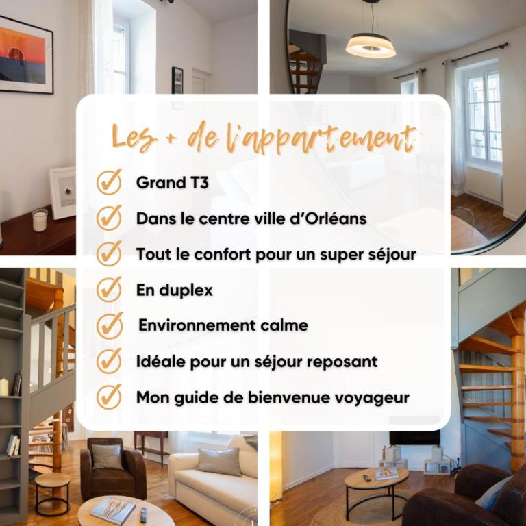 The Lioness of Orléans Spacious & Bright 2-Bedroom - Appartement - 14